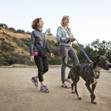 walking to prevent knee pain in those with arthritis